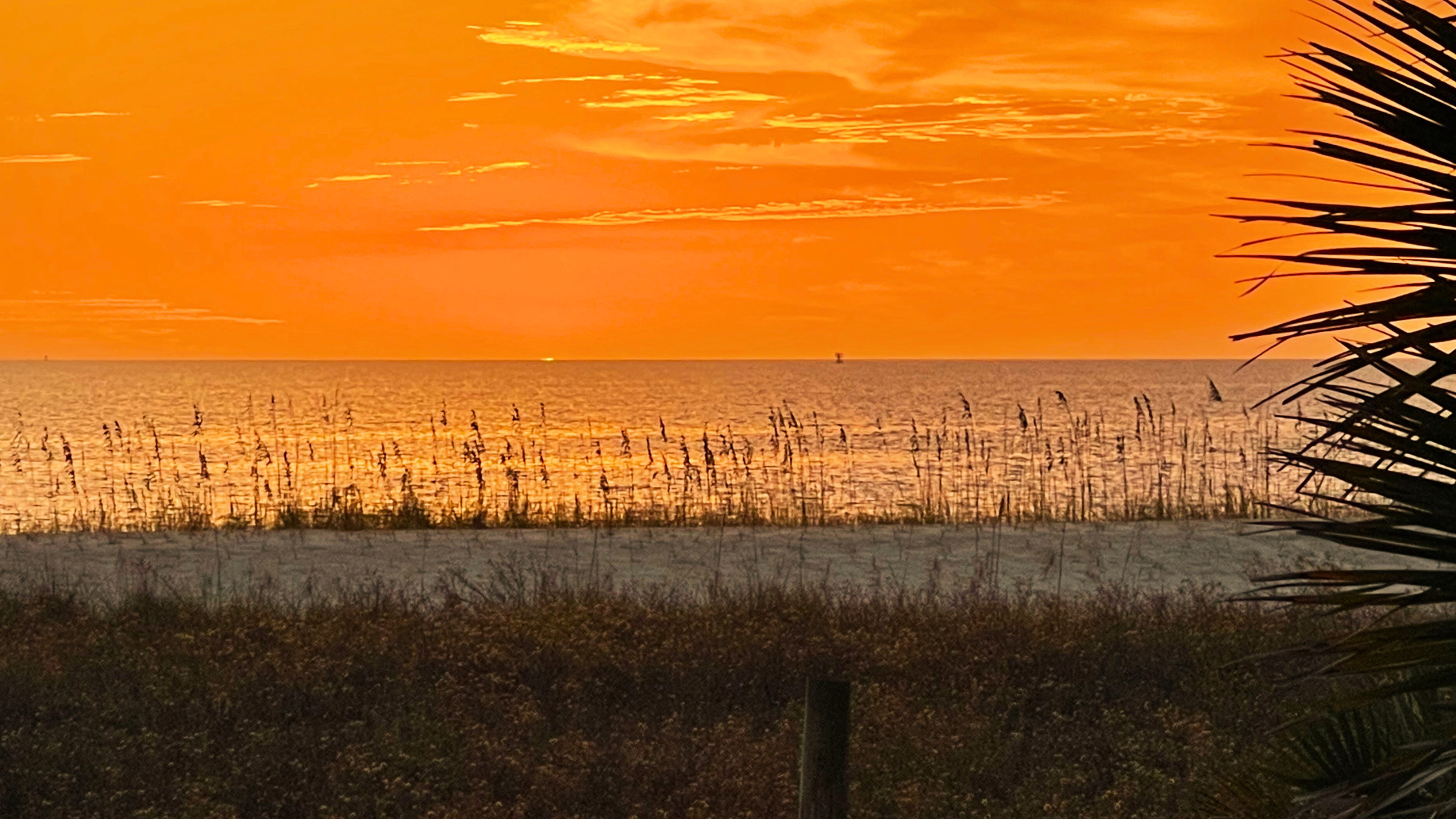 St. Joe Beach homesite, Florida, Real Estate, Vacant Land, build a beach house, X flood zone property, oversized lot near the beach, coastal living, vacation home potential, Gulf of Mexico